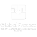 GLOBAL PROCESS AGENTE DE SEGUROS Y DE FIANZAS S A DE C V.png